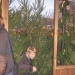 2006-12-02_Weihnachtsmarkt2006-Paderborn